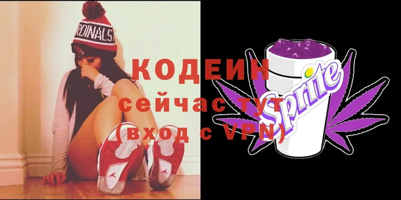 купить закладку  Цоци-Юрт  Кодеин Purple Drank 